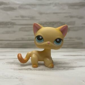 Hasbro LPS Littlest Pet Shop Shorthair Cat Authentic #339